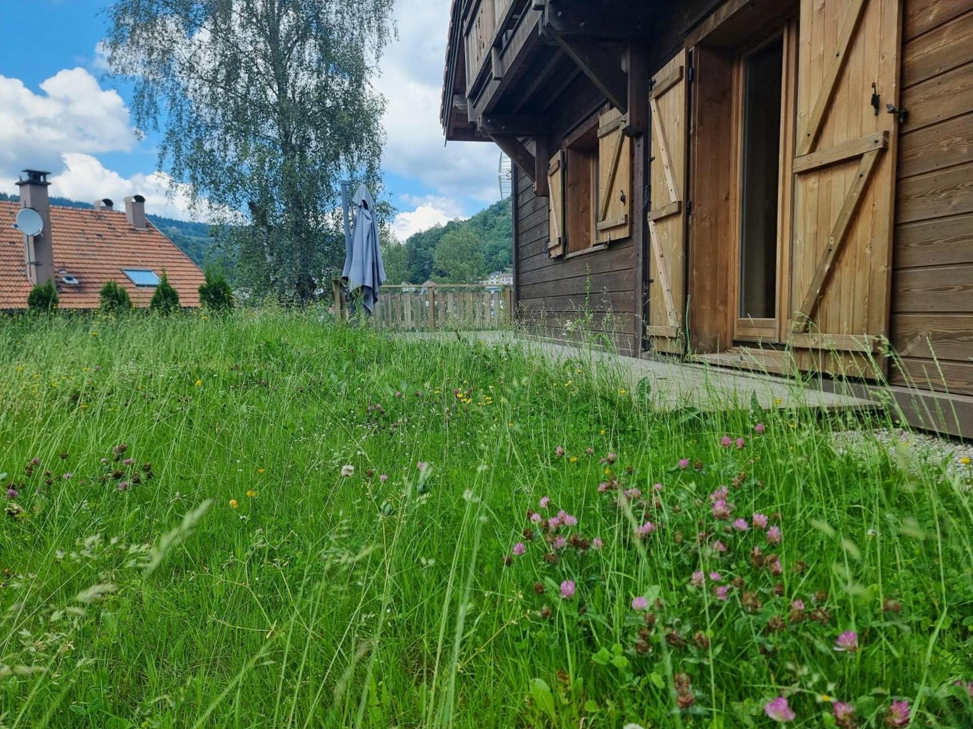 Le Chalet Du Pere Michel, Jacuzzi, Sauna, Jardin La Bresse Exterior photo